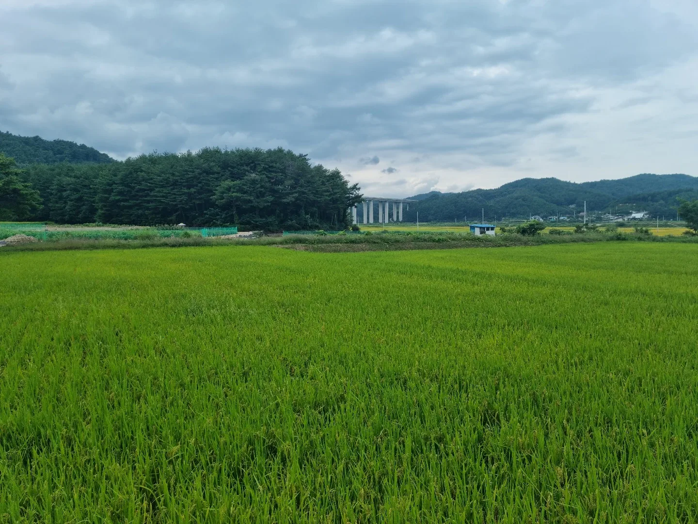 모두가행복한세상