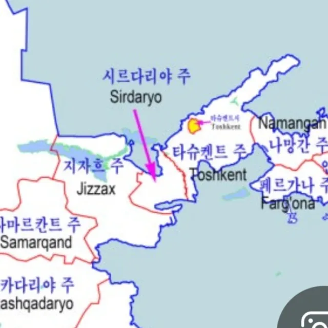 독심술사