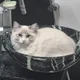 단지