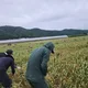 천지
