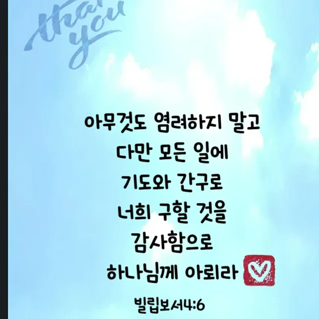 그레이스