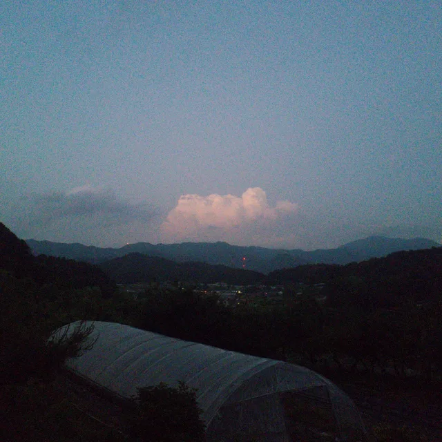 팝쟁이