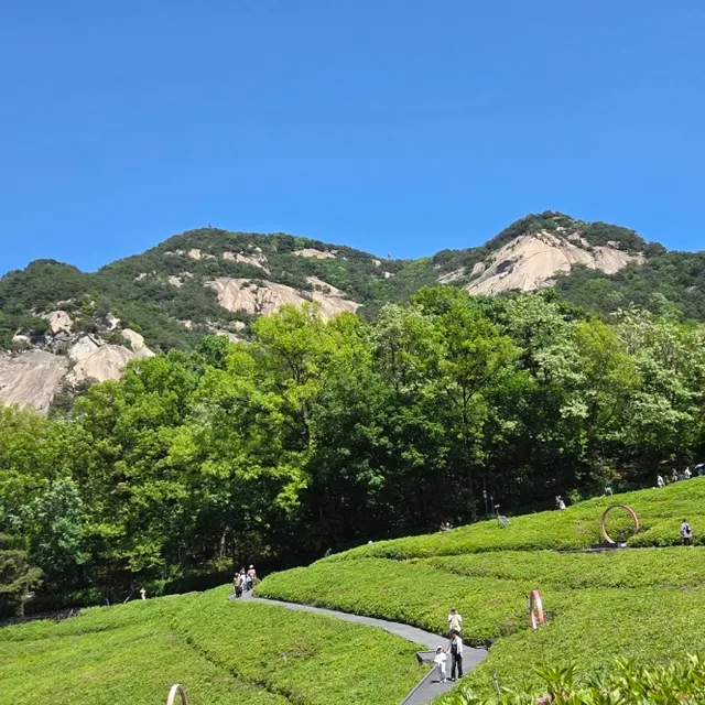 이금희