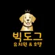 빅도그