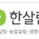 홍당무