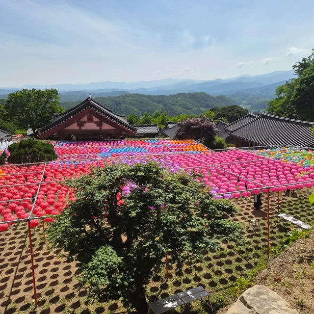 대박