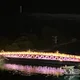 야야영