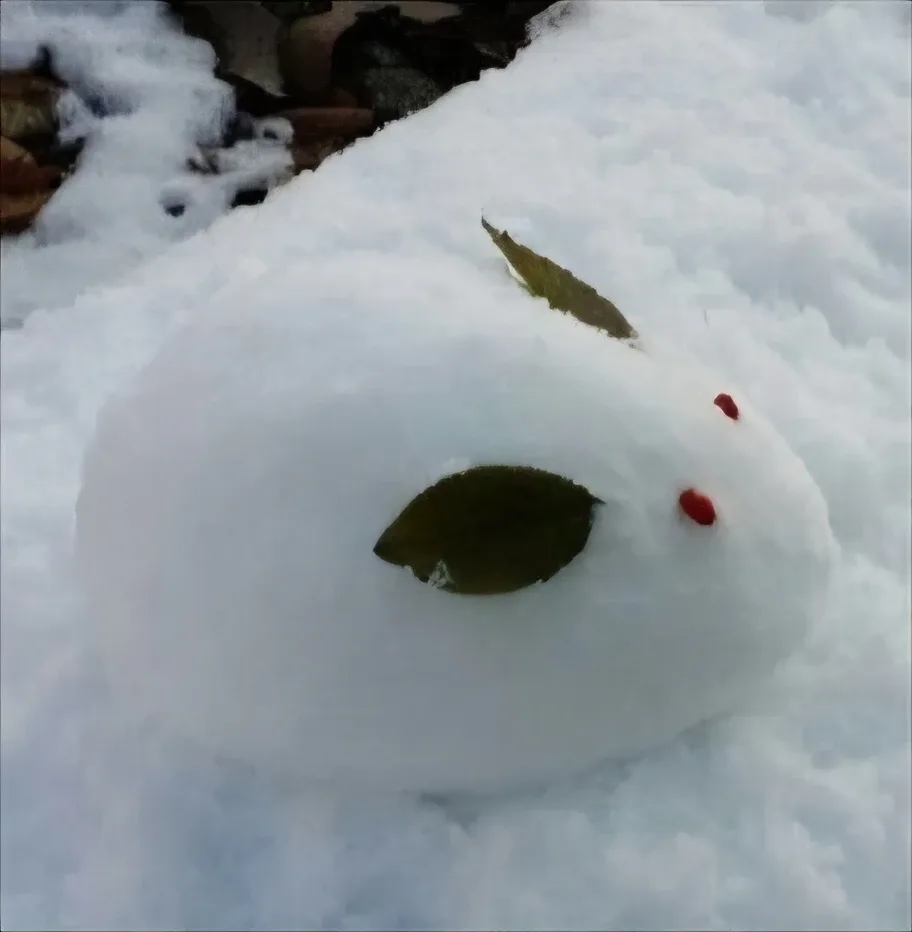 포로