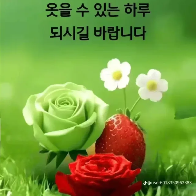 행복한여인