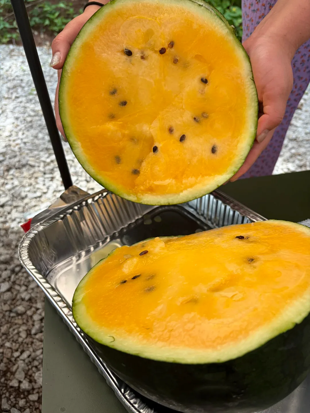 실실실