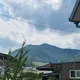 두유