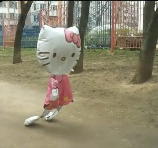 솝솝