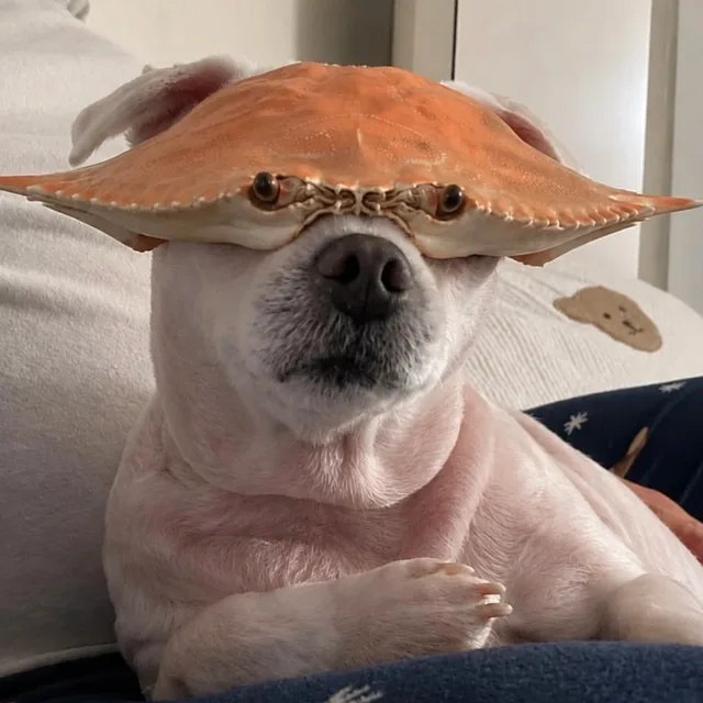 럭키유