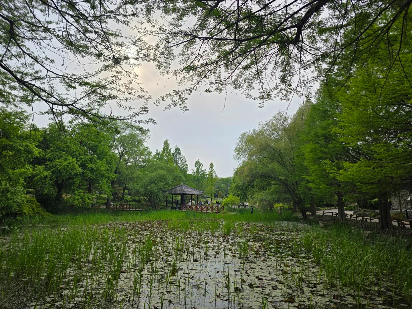 캐빈
