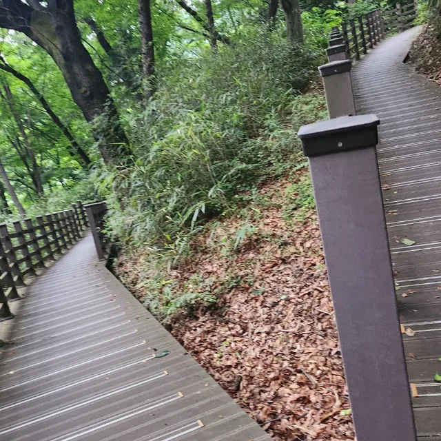 꽂길