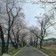 함께하는사람들