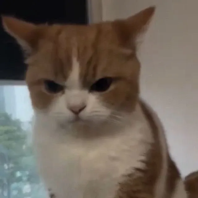 현이