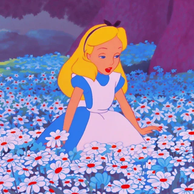 거짓말하지마새요