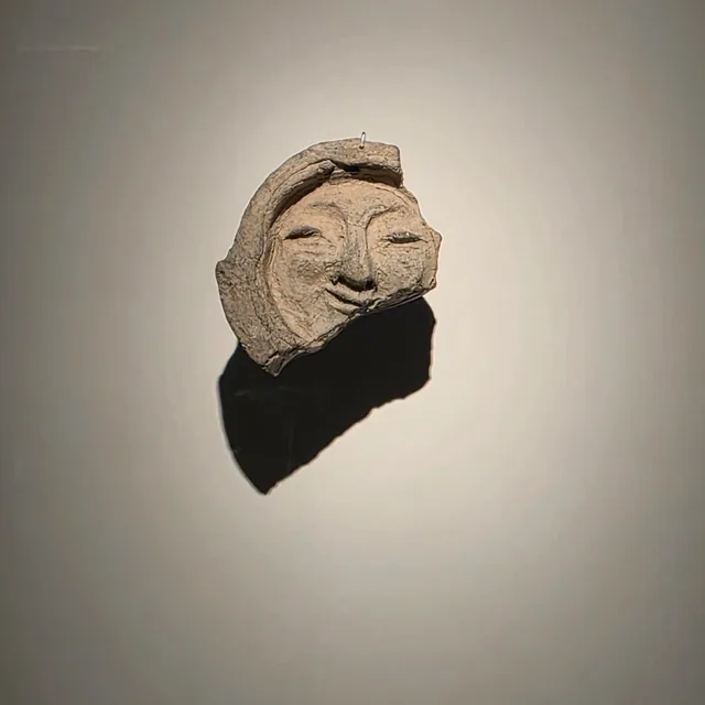 수이님