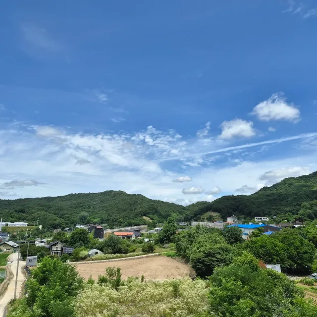 토랭이