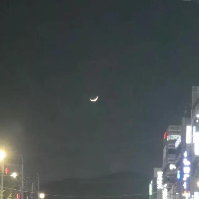 술보다는자리가좋아
