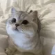 파릇파릇
