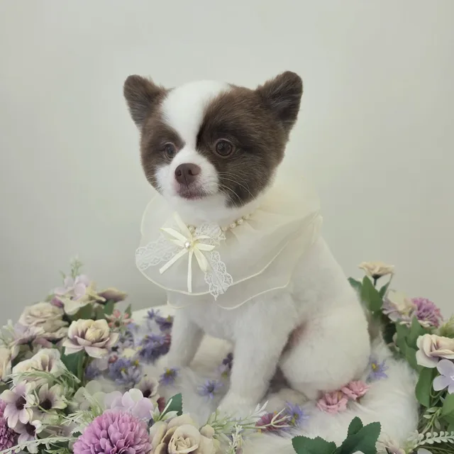 우진맘