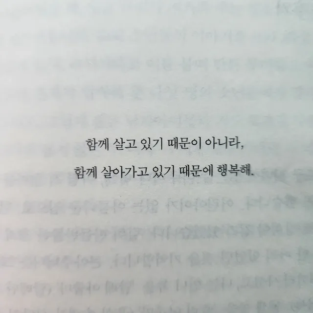 다다얌