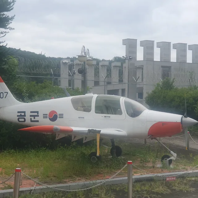 푸르른가