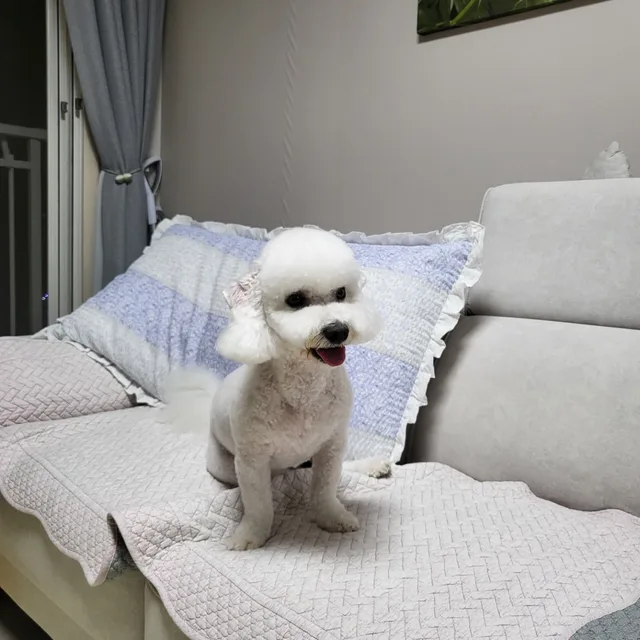 또또네