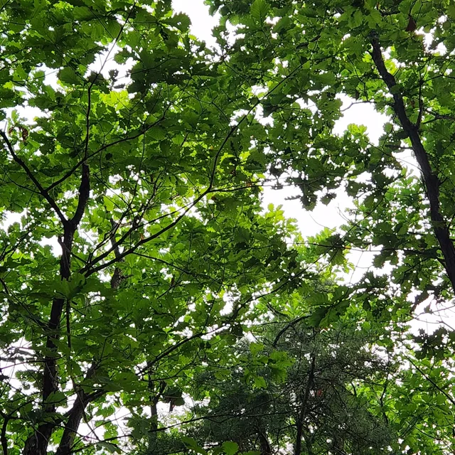 베풀자