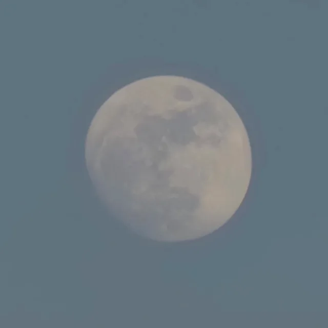 야르