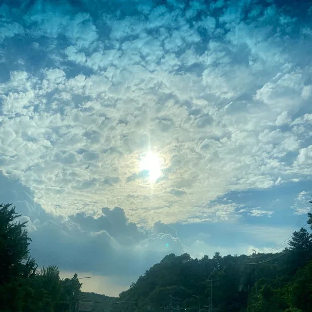 prov910