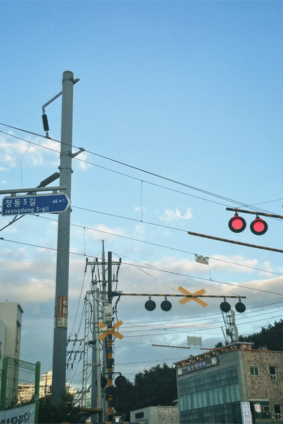오야