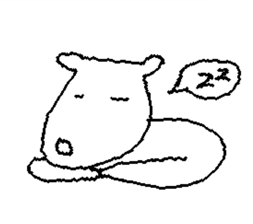 블루베리