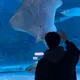 예의바름청년