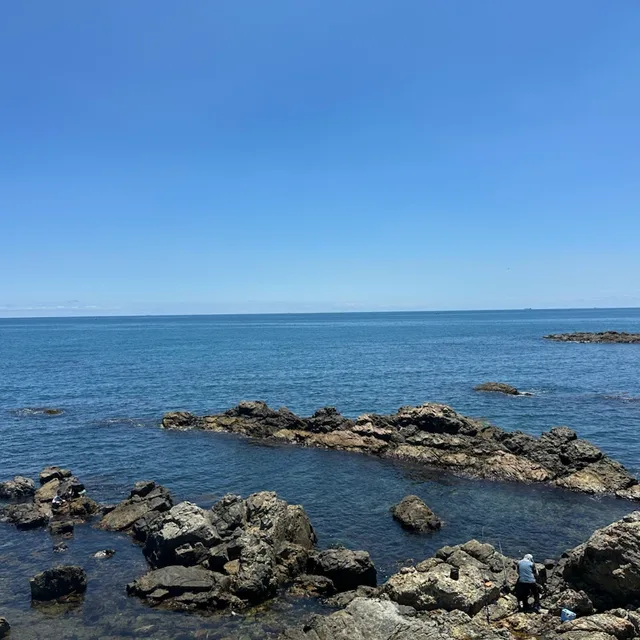 하루