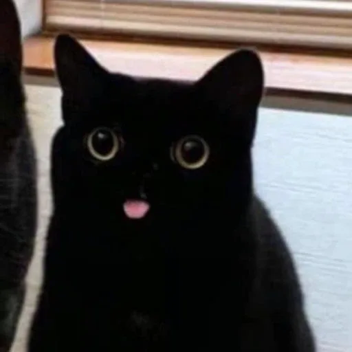 자멍