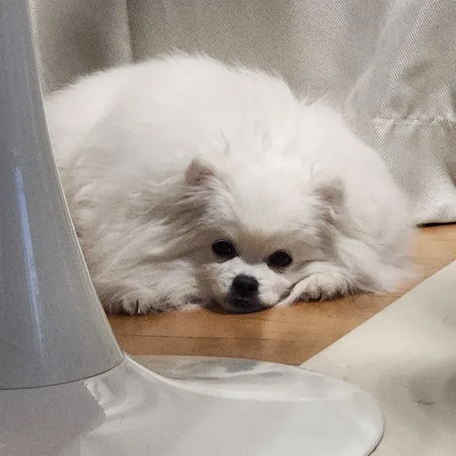 냅다거래하기