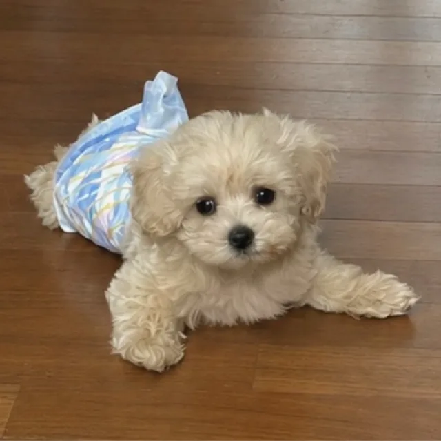 으닝