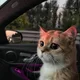 목숨두개