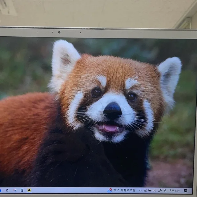 뇽뇨뇽