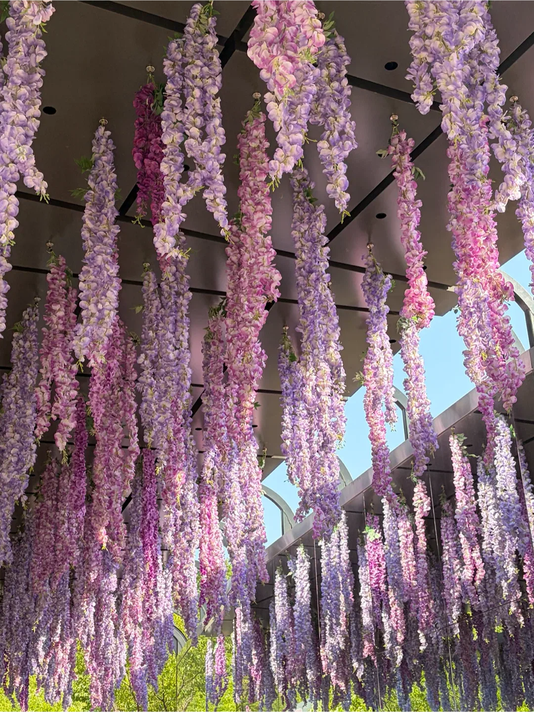 보리