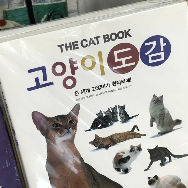 고양이도감