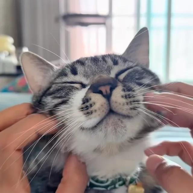 루맹