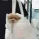 모아온