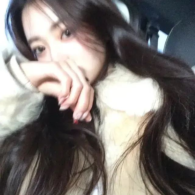 망원동말티즈
