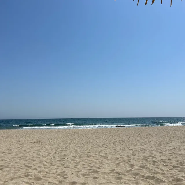 치치언니