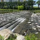Nomad