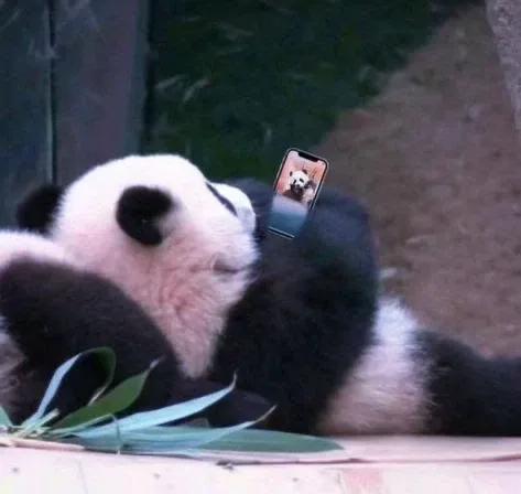 땅끙